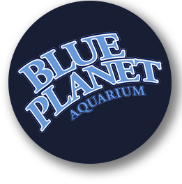 blue planet aquarium badge logo